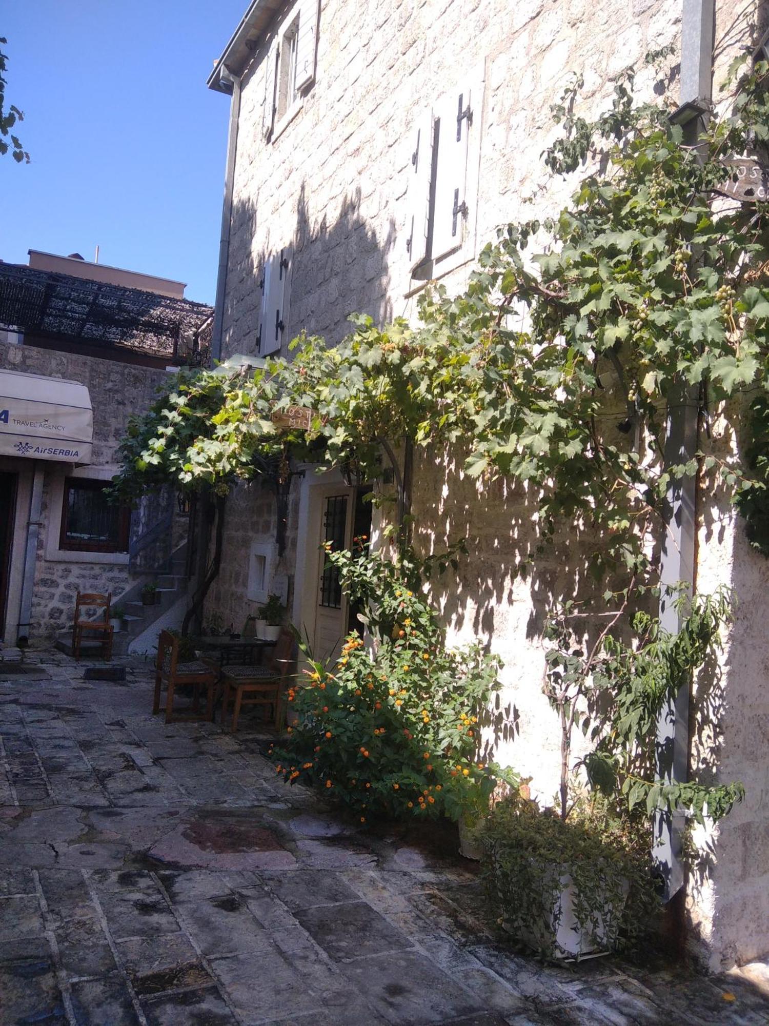 Hostel Michel *