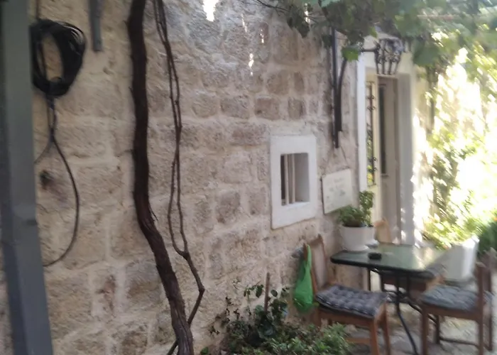 Michel Guest House