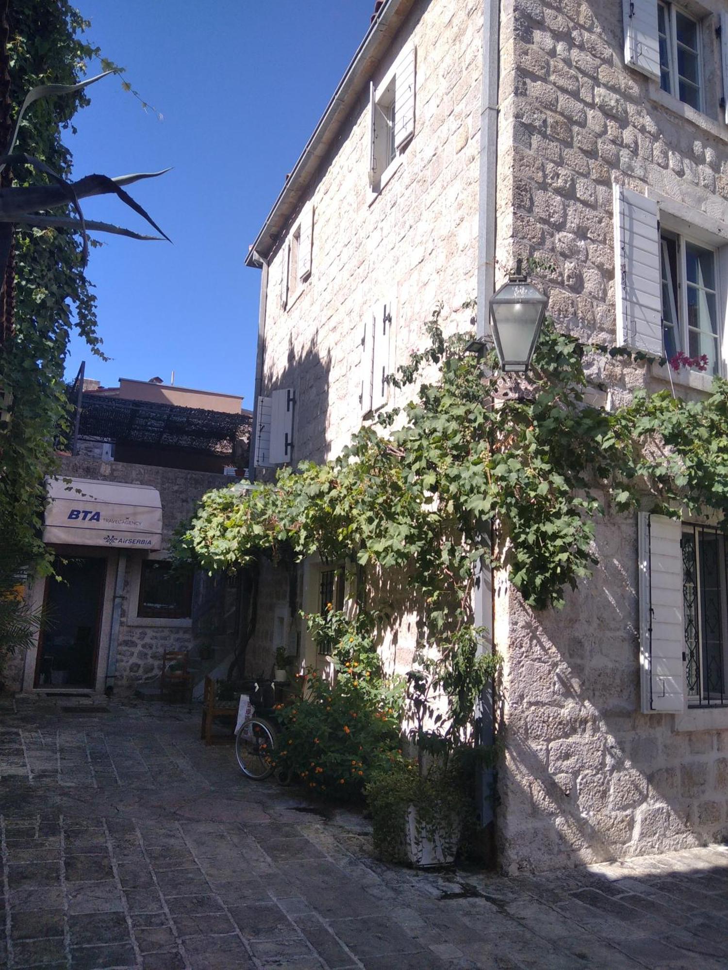 Michel * Budva